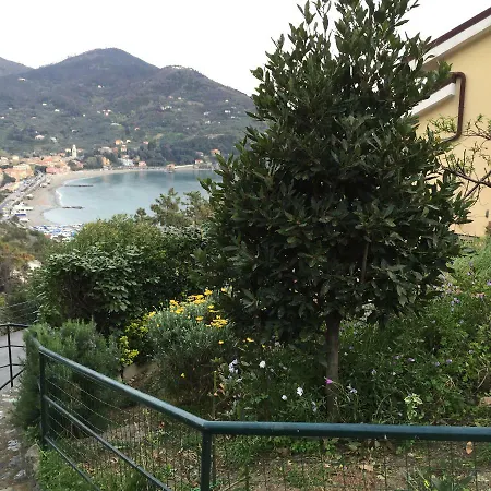 Apartman Vallesanta